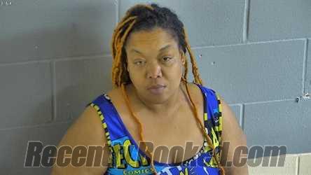 Recent Mugshot Image for ERICA RENE WRIGHT in Levy County, Florida