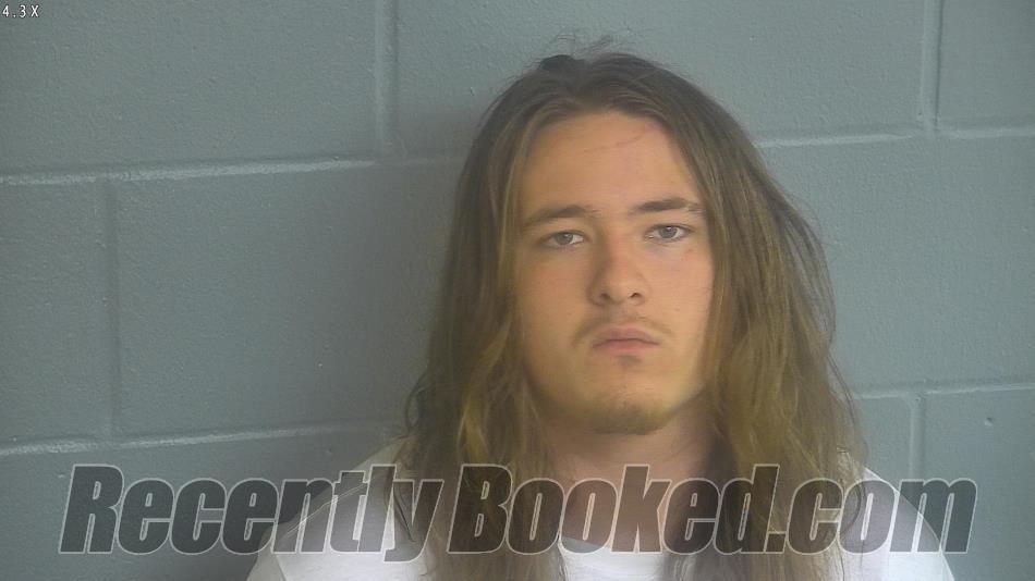 Recent Mugshot Image for JUSTIN TYLER PATE in Levy County, Florida