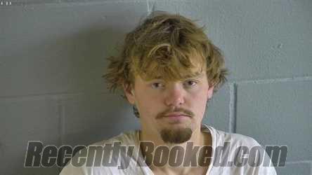 Recent Mugshot Image for JAMES WALLACE WEEKS in Levy County, Florida