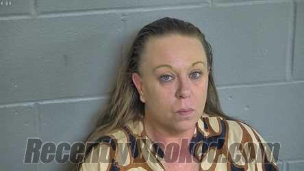Recent Mugshot Image for LISA ELIZABETH RING in Levy County, Florida
