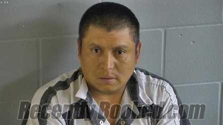 Recent Mugshot Image for MARIO GEOVANY GARCIA-JACINTO in Levy County, Florida