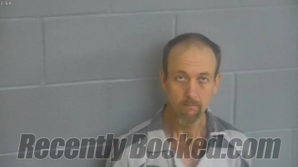 Recent Mugshot Image for MICHAEL WAYNE LILES in Levy County, Florida