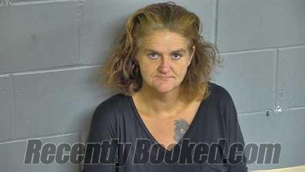 Recent Mugshot Image for MICHELLE MCKAY in Levy County, Florida