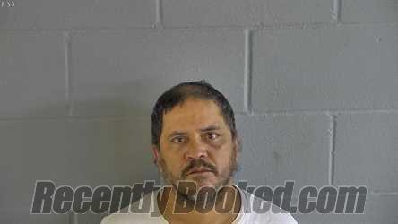 Recent Mugshot Image for SALVADOR CALVILLO in Levy County, Florida