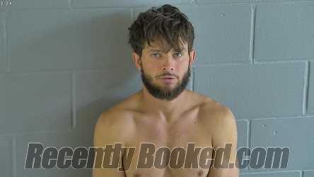 Recent Mugshot Image for SHAWN JEFFREY PERKINS in Levy County, Florida