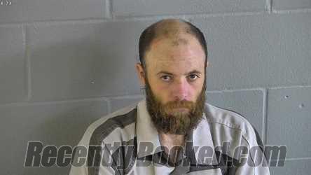 Recent Mugshot Image for WAYLAND SULLIVAN in Levy County, Florida