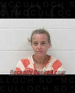 Recent Mugshot Image for BRENDA ANN ROBERTS in McCulloch County, Texas