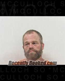 Recent Mugshot Image for WIRE DAN NEHR in McCulloch County, Texas