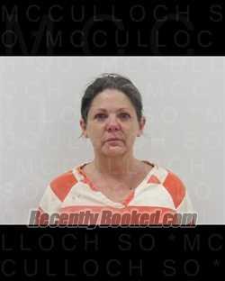 Recent Mugshot Image for HEATHER COX in McCulloch County, Texas