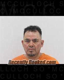 Recent Mugshot Image for JOSE MENDOZA-AMAYA in McCulloch County, Texas