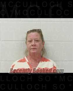 Recent Mugshot Image for DEBORAH LYN STARK in McCulloch County, Texas