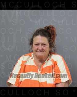Recent Mugshot Image for SANDRA DALE ENRIQUEZ in McCulloch County, Texas