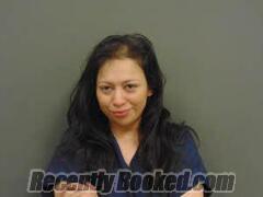 Recent Mugshot Image for YAJAIRA REYES in Milam County, Texas