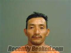 Recent Mugshot Image for SECUNDINO MARTINEZ in Milam County, Texas