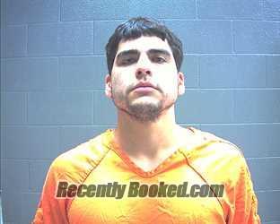 Recent Mugshot Image for DIEGO ANTHONY LUEVANO in Mills County, Texas