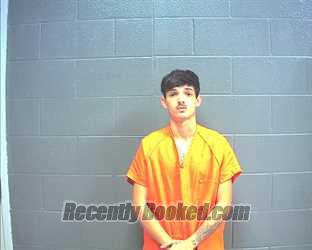 Recent Mugshot Image for TYLER LEE ANDREW TURNER in Mills County, Texas
