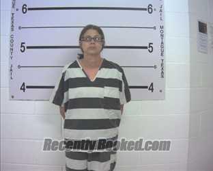 Recent Mugshot Image for BRANDY MARIE BARFIELD in Montague County, Texas