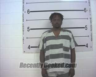 Recent Mugshot Image for LAWRENCE LADADE BRIDGETTE in Montague County, Texas