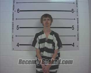 Recent Mugshot Image for BRETT LOGAN SHEARS in Montague County, Texas