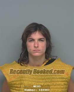 Recent Mugshot Image for BREANNA SKYE VERKON in Montgomery County, Texas