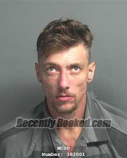 Recent Mugshot Image for MARION SPENCER HEALEY in Montgomery County, Texas