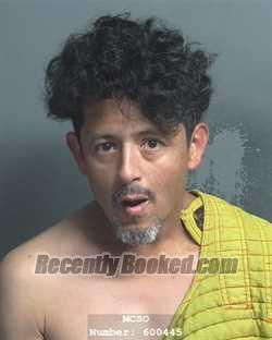 Recent Mugshot Image for MICHAEL TIMOTHY VARGAS in Montgomery County, Texas