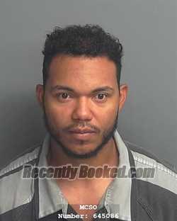 Recent Mugshot Image for DARVIN JOSE LAUSER MEDINA in Montgomery County, Texas