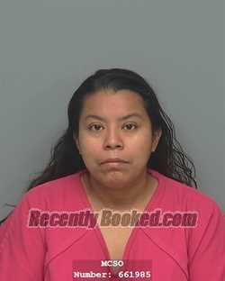 Recent Mugshot Image for SUZANNE ALMAZAN in Montgomery County, Texas