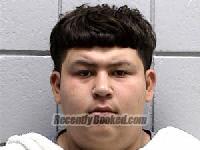 Recent Mugshot Image for GUSTAVO IVAN ZAMARRIPA in Navarro County, Texas