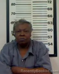 Recent Mugshot Image for JANICE MCFADDEN HUNTER in Madison County, Florida