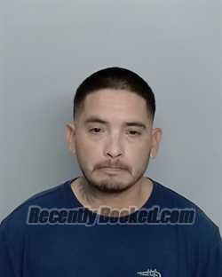 Recent Mugshot Image for RAY VIDRIO in Nueces County, Texas
