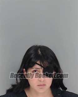 Recent Booking / Mugshot for ELISA ANN SILGUERO in Nueces County, Texas