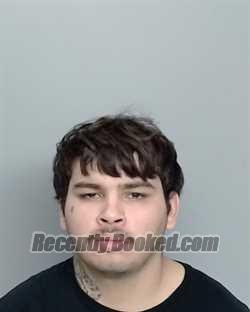 Recent Mugshot Image for JEREMY DILLION SALINAS in Nueces County, Texas
