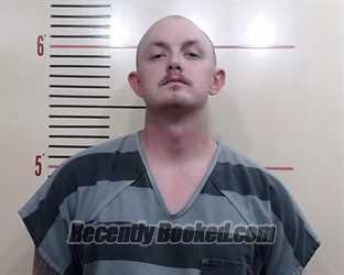 Recent Mugshot Image for SHANNON CHRISTOPHER LEWIS in Parker County, Texas