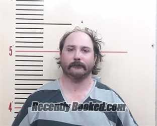Recent Mugshot Image for DILLON MONTANA RAY in Parker County, Texas