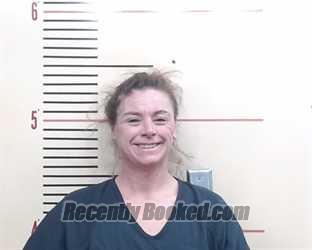 Recent Mugshot Image for Amanda Desirea Ashley in Parker County, Texas
