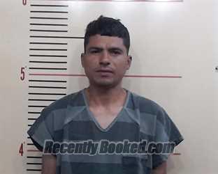Recent Mugshot Image for ANGEL JOHAN CASTILLO SALINAS in Parker County, Texas