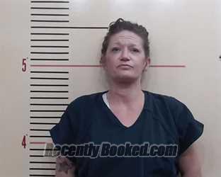 Recent Mugshot Image for Whitney Nicole McGraw in Parker County, Texas