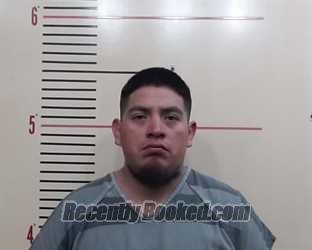 Recent Mugshot Image for RODRIGO MENDOZA SANCHEZ in Parker County, Texas