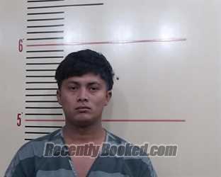 Recent Mugshot Image for MIKE LEE MARTINEZ VARELA in Parker County, Texas