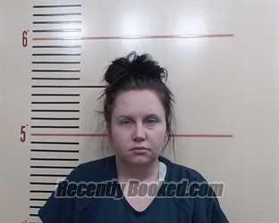 Recent Mugshot Image for Emily Anne Ennis in Parker County, Texas