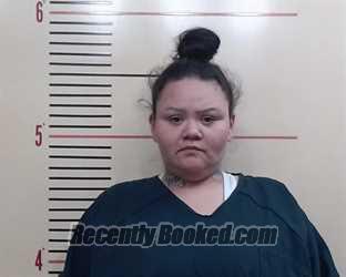 Recent Mugshot Image for Deborah Anne Barbosa in Parker County, Texas