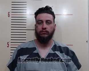 Recent Mugshot Image for JOSEPH ROMAN ORTEGA in Parker County, Texas