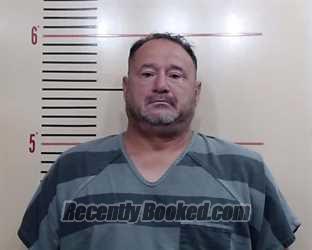 Recent Mugshot Image for JOSE ALFREDI LUEVANO in Parker County, Texas