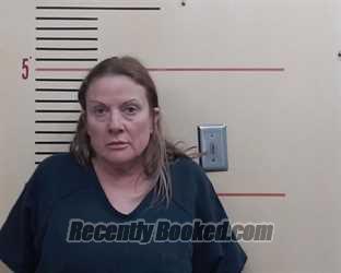 Recent Mugshot Image for BRIDGETTE BALDWIN GEORGE in Parker County, Texas