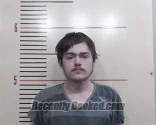 Recent Mugshot Image for GEORGE THAYRE WALLACE in Parker County, Texas