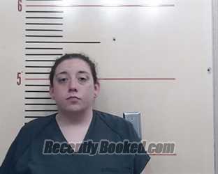 Recent Mugshot Image for Alese Renee Bailey in Parker County, Texas