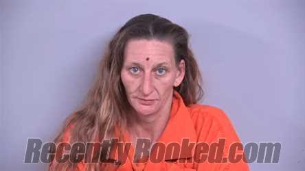 Recent Mugshot Image for TERRY REENA CRAWFORD in Bradford County, Florida