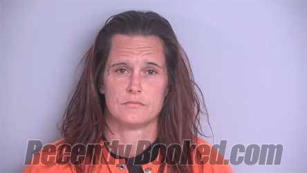 Recent Mugshot Image for ERIKA MICHELLE HORTON in Bradford County, Florida