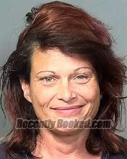 Recent Mugshot Image for LORI ANN JONES in Manatee County, Florida